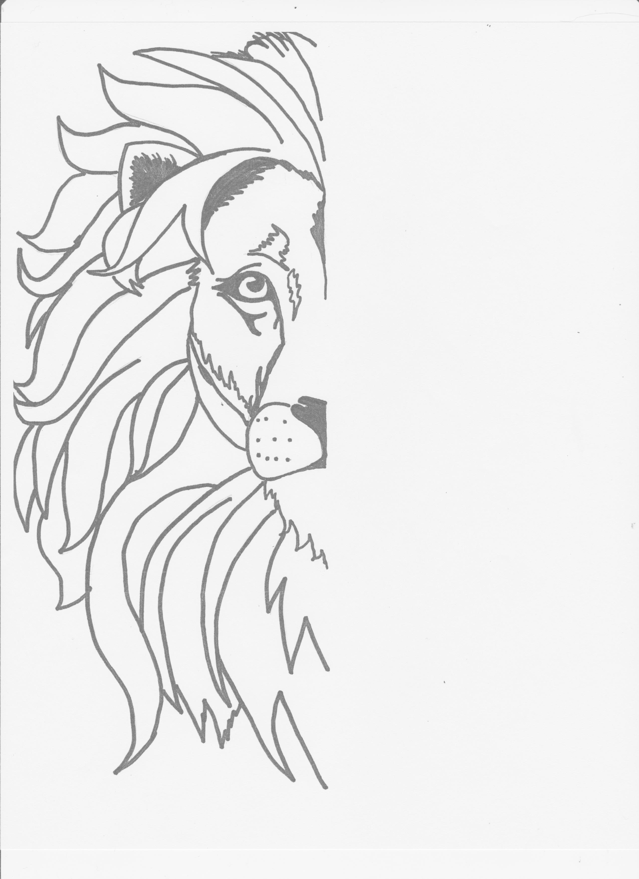 2550x3507 mirror image lion drawing week two, classical conversations - Lion Drawing