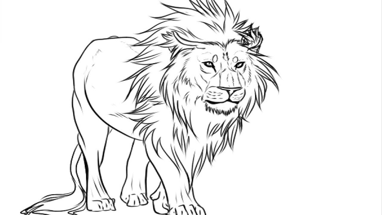 1280x720 Coloring Pages Easy Kids Drawing Lion Drawing Pictures - Lion Drawing