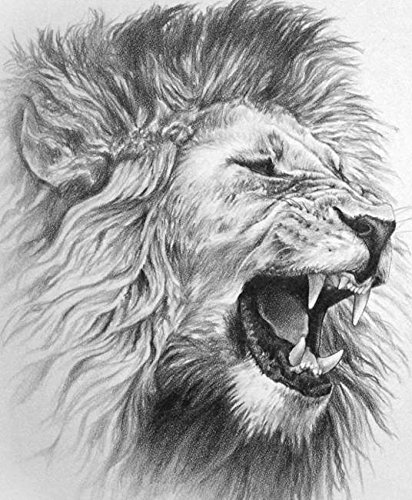 412x500 Lion Drawing - Lion Drawing Art