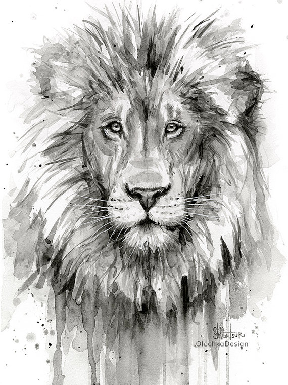 570x760 Lion Art, Lion Art Print, Lion Wall Art, Jungle Animal, Safari - Lion Drawing Black And White