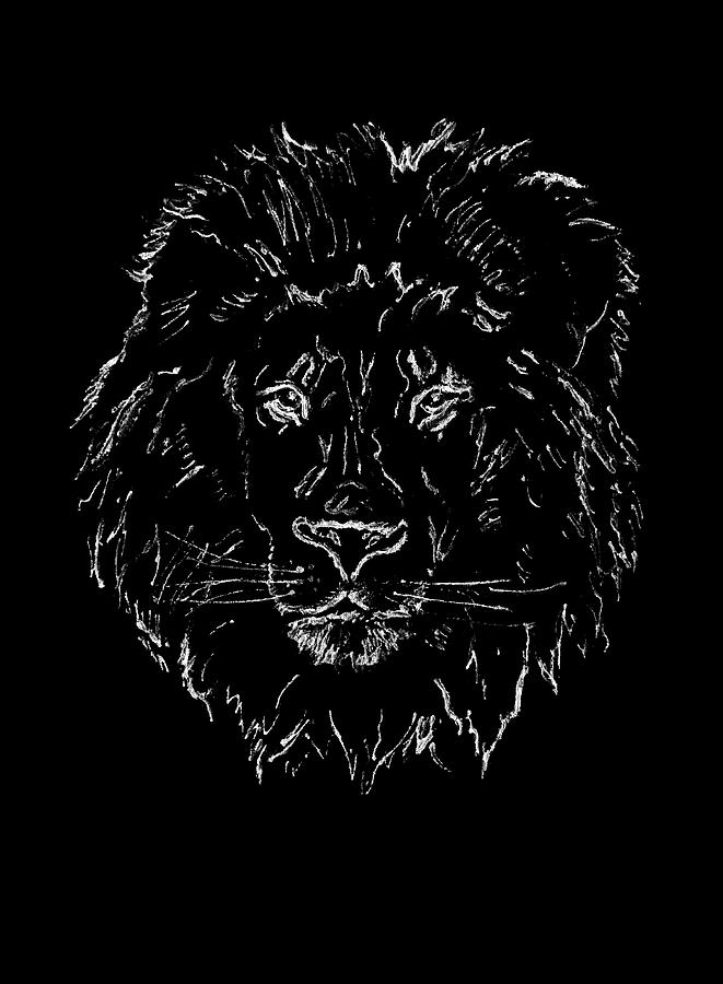 661x900 Lion On Black Background Drawing - Lion Drawing Black And White