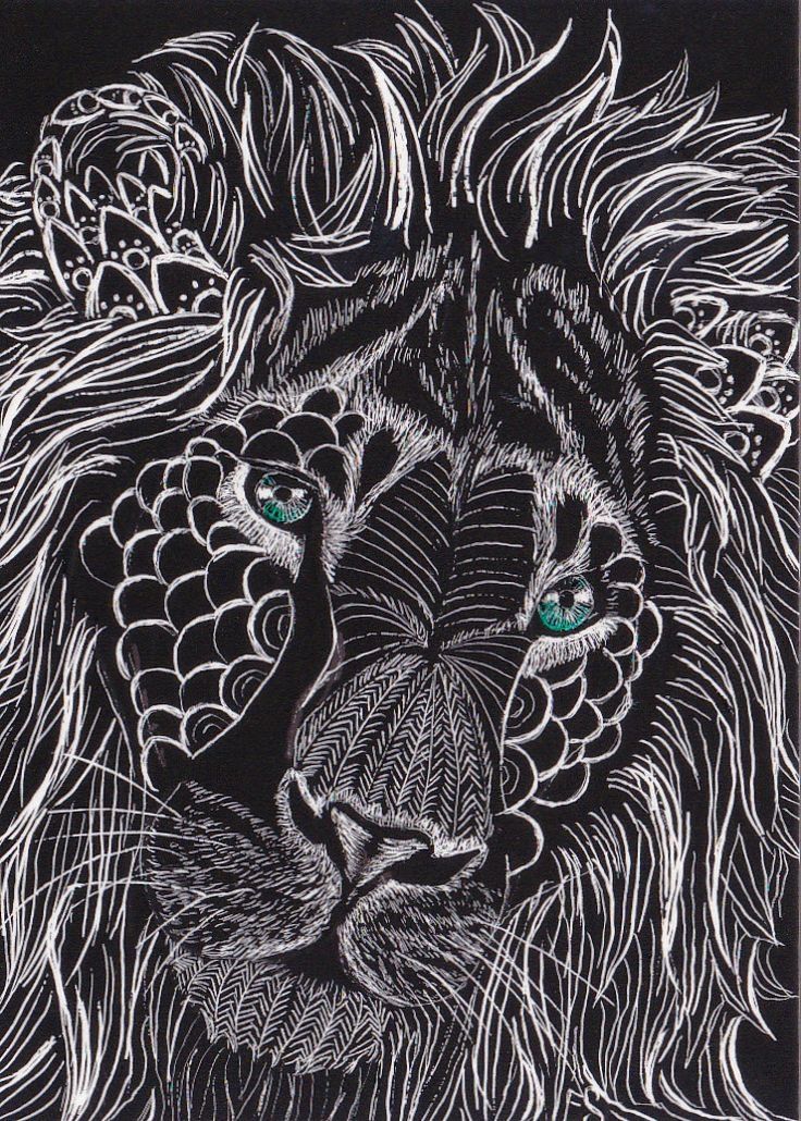 736x1030 Lion Chalk Drawing Black And White Animals Art Chalk Drawing Lion - Lion Drawing Black And White