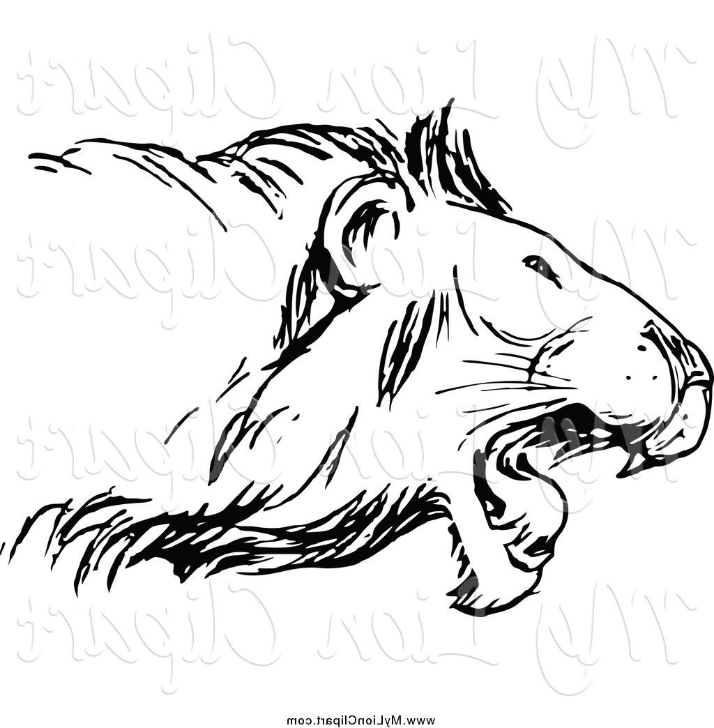 1024x1044 Top Lion Drawing Black And White Vector Images Free Vector Art - Lion Drawing Black And White