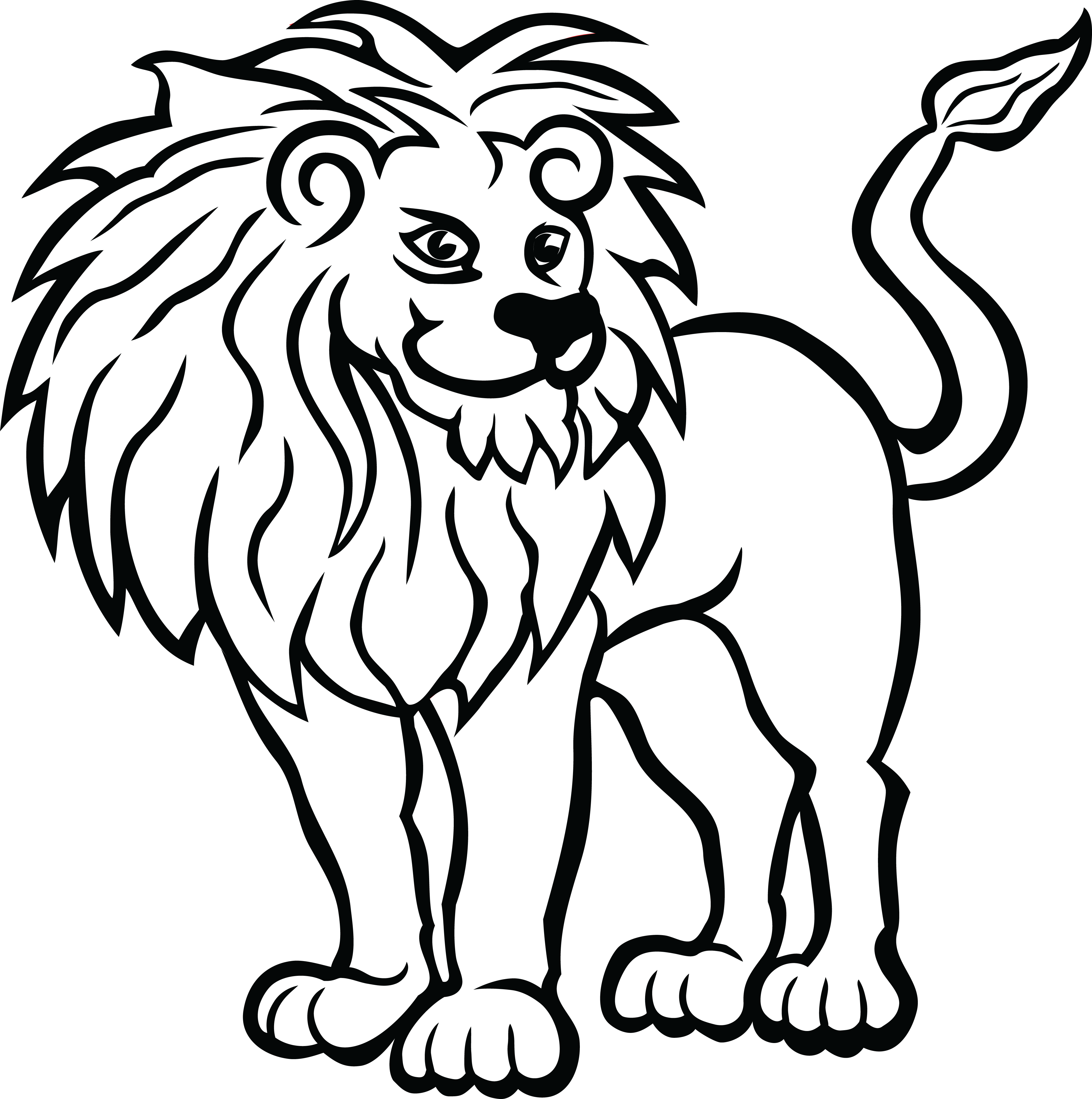 Lion Drawing Black And White at Explore collection