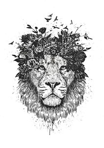 212x300 Black And White Drawings Fine Art America - Lion Drawing Black And White