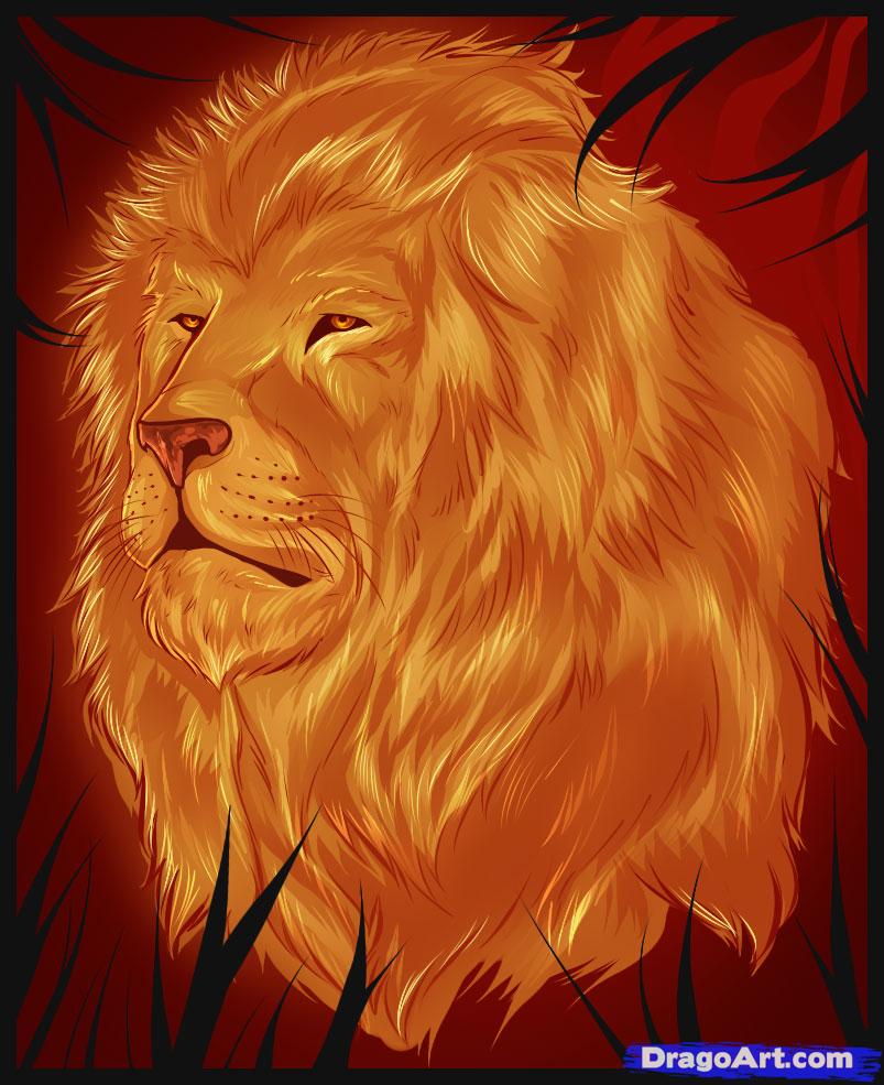 803x985 How To Draw A Realistic Lion, Draw Real Lion, Step - Lion Drawing Color