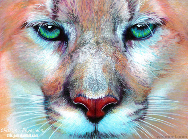 660x490 Huge Collection Of 'lion Drawing Color' Download More Than - Lion Drawing Color