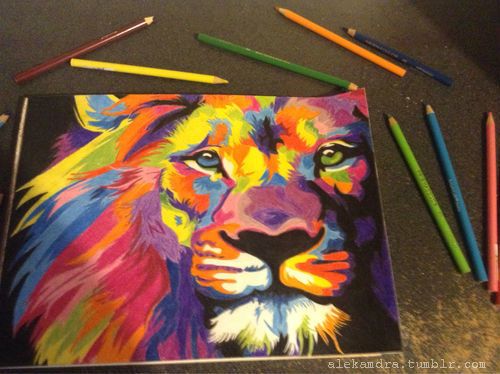 500x374 Lion - Lion Drawing Color