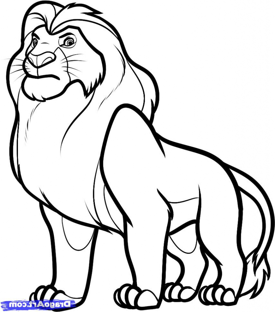 904x1024 Happy Pictures Of Lions To Draw Easy Drawing A Lion Interesting - Lion Drawing Easy