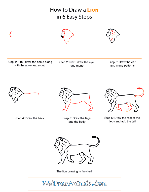 600x776 How To Draw A Lion - Lion Drawing Easy