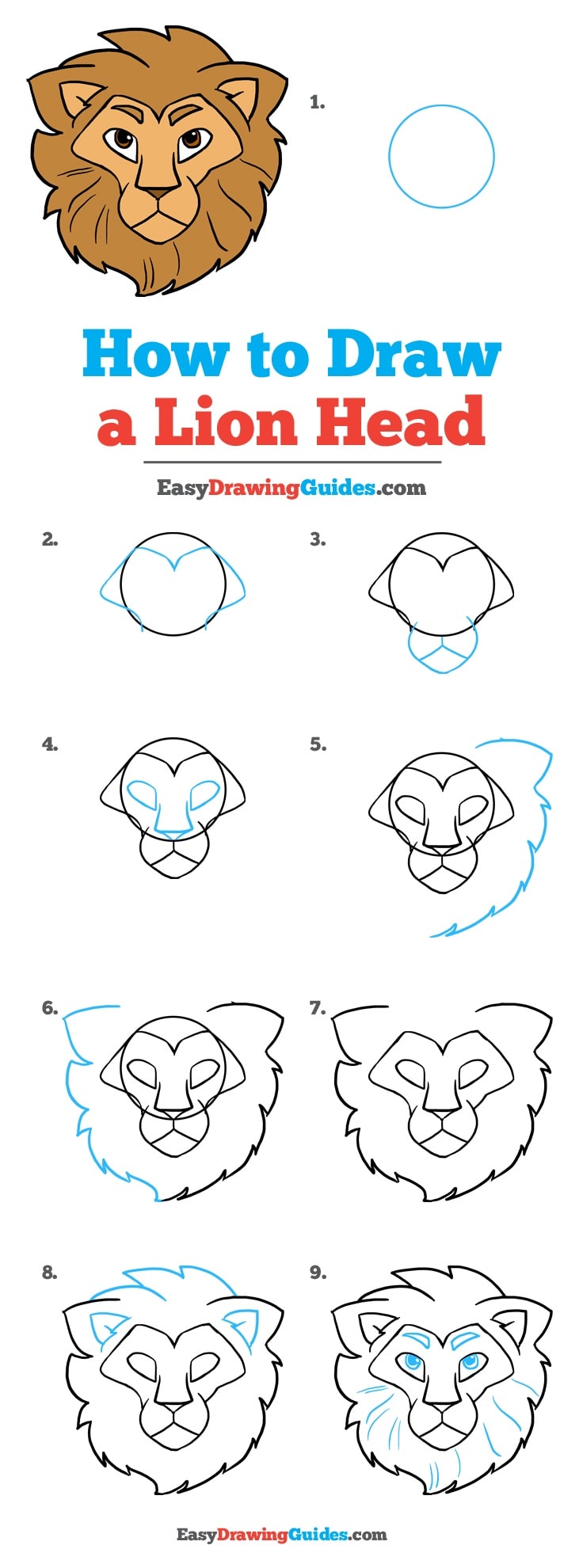 736x1980 How To Draw A Lion Head - Lion Drawing Easy