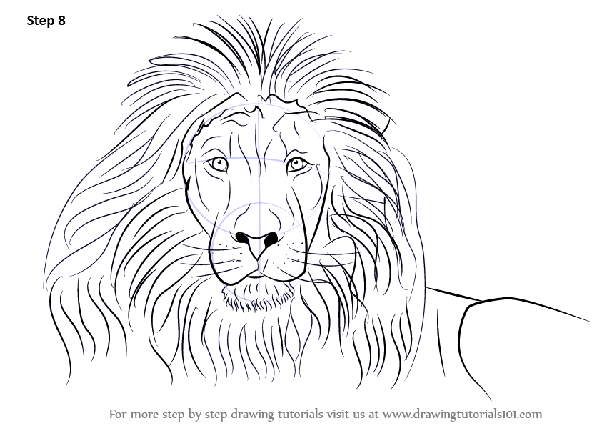 843x596 Learn How To Draw A Lion's Face - Lion Drawing Easy