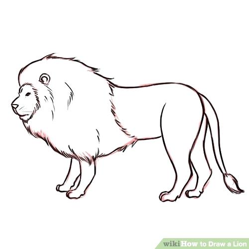 500x500 Lion Drawing For Coloring Lion Drawing Outline Animal Outline - Lion Drawing Easy