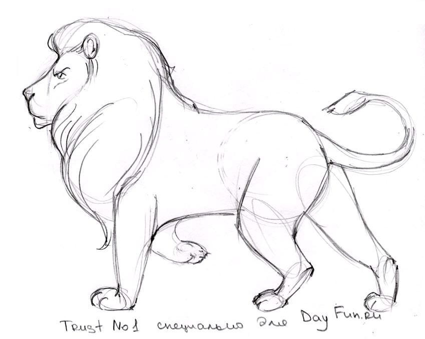 849x677 Lion Drawings, Lion Drawing, Art - Lion Drawing Easy