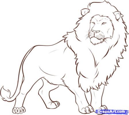 449x400 Simple Lion Drawings In Pencil Artdrawing Ideas - Lion Drawing Easy