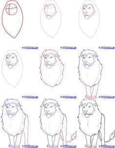 236x304 how to draw realistic animals banners in drawings - Lion Drawing Easy Step By Step
