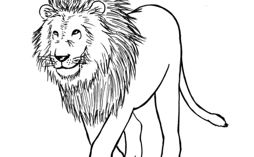 825x510 How To Draw A Lion Collection Of A Lion Drawing Easy Diagram - Lion Drawing Easy Step By Step