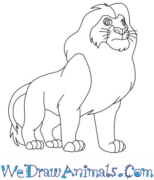 300x350 How To Draw Mufasa From The Lion King - Lion Drawing Easy Step By Step