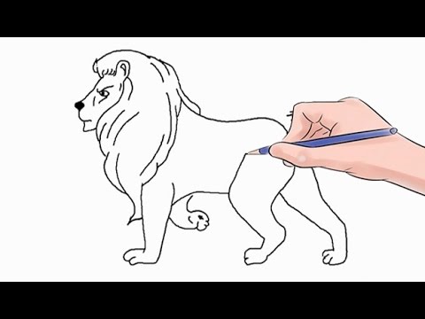 480x360 How To Draw A Lion Easy Step - Lion Drawing Easy Step By Step