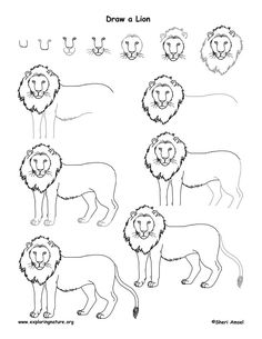 236x305 How To Draw A Lion - Lion Drawing Easy Step By Step