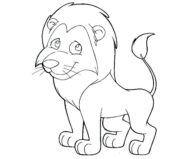 Lion Drawing For Kids