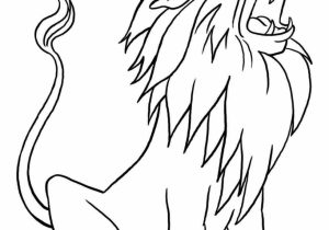 300x210 Sketch For Lion Of Kids How To Draw Lion For Kids Step - Lion Drawing For Kids