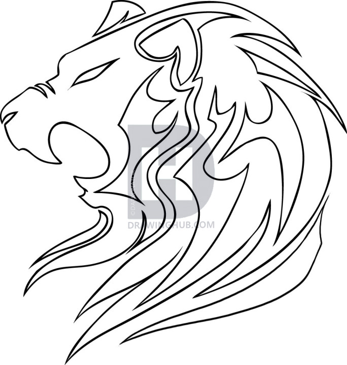 684x720 How To Draw A Tribal Lion, Step - Lion Drawing Images