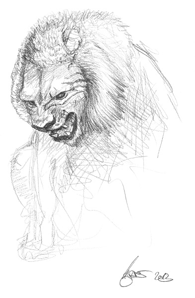 393x600 How To Draw A Lion - Lion Drawing Images
