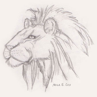 338x338 How To Draw Lions Drawing Tutorials Drawing How To Draw Lion - Lion Drawing Pictures