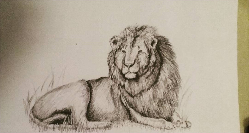 820x440 Lion Drawing, Art Ideas, Sketches Design Trends - Lion Drawing Pictures