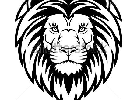 450x329 Lion Drawing Face How To Sketch A Step Inspiration Create - Lion Drawing Pictures