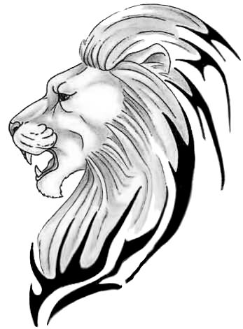 347x471 Lion Head Tattoo Sample Drawing - Lion Drawing Pictures
