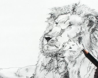 340x270 Lion Pencil Drawing Etsy - Lion Drawing Pictures