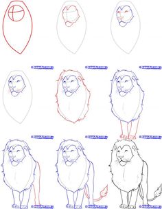 Lion Drawing Step By Step