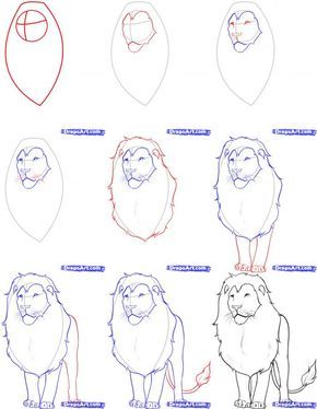 290x374 How To Draw Realistic Animals Drawing Drawings, Realistic - Lion Drawing Step By Step