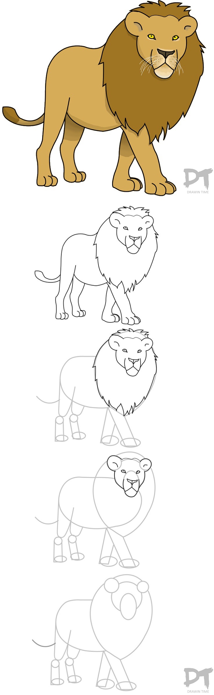 735x2388 Huge Collection Of 'lion Drawing Tutorial' Download More Than - Lion Drawing Step By Step