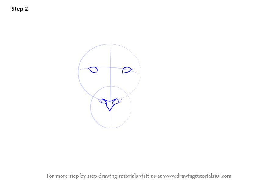 843x596 Learn How To Draw A Lion's Face - Lion Drawing Step By Step