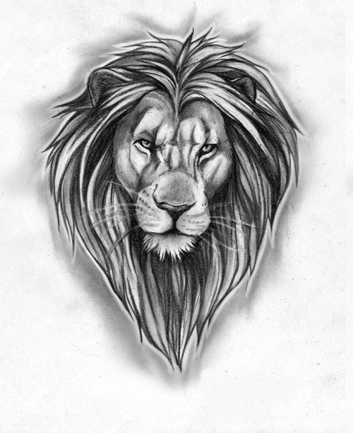 500x613 Lion Tattoo Design Discovered - Lion Drawing Tattoo
