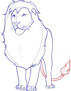 Lion Drawing Tutorial