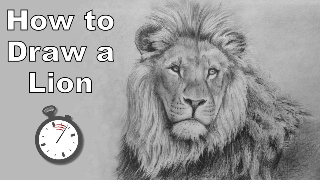 1280x720 How To Draw A Lion In Pencil - Lion Drawing Tutorial
