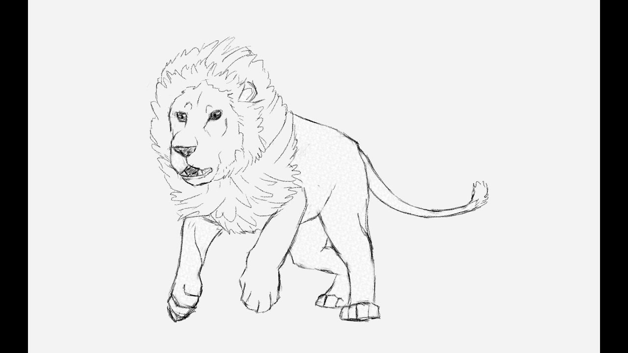 1280x720 How To Draw A Male Lion Running Art Tutorial - Lion Drawing Tutorial