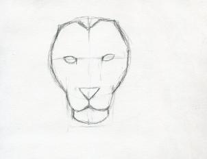 302x232 How To Sketch A Lion, Step - Lion Drawing Tutorial