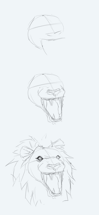 400x864 How To Draw Lion - Lion Drawing Tutorial