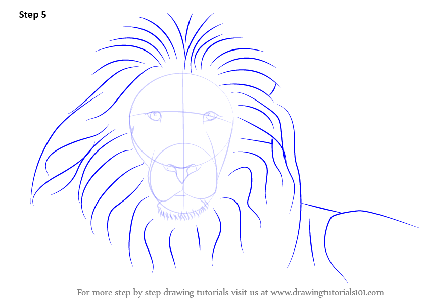 843x596 Learn How To Draw A Lion's Face - Lion Drawing Tutorial