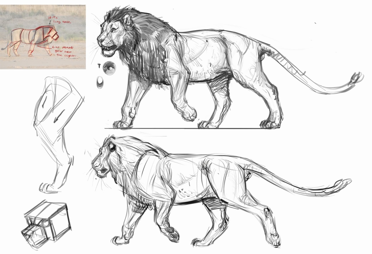 1280x874 Drawing Illustration Art Lions Art Inspiration Lioness Art - Lion Drawing Tutorial