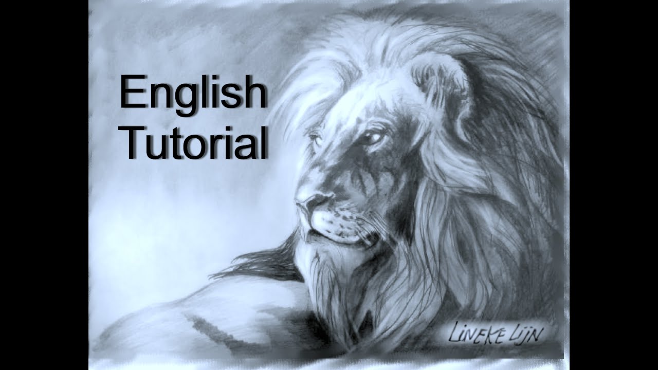 1280x720 Easy Lion Drawing For Beginners Graphite Pencil - Lion Drawing Tutorial
