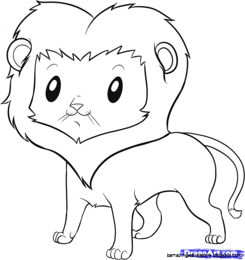 807x855 How To Draw Lion Face Step - Lion Drawing Wallpaper
