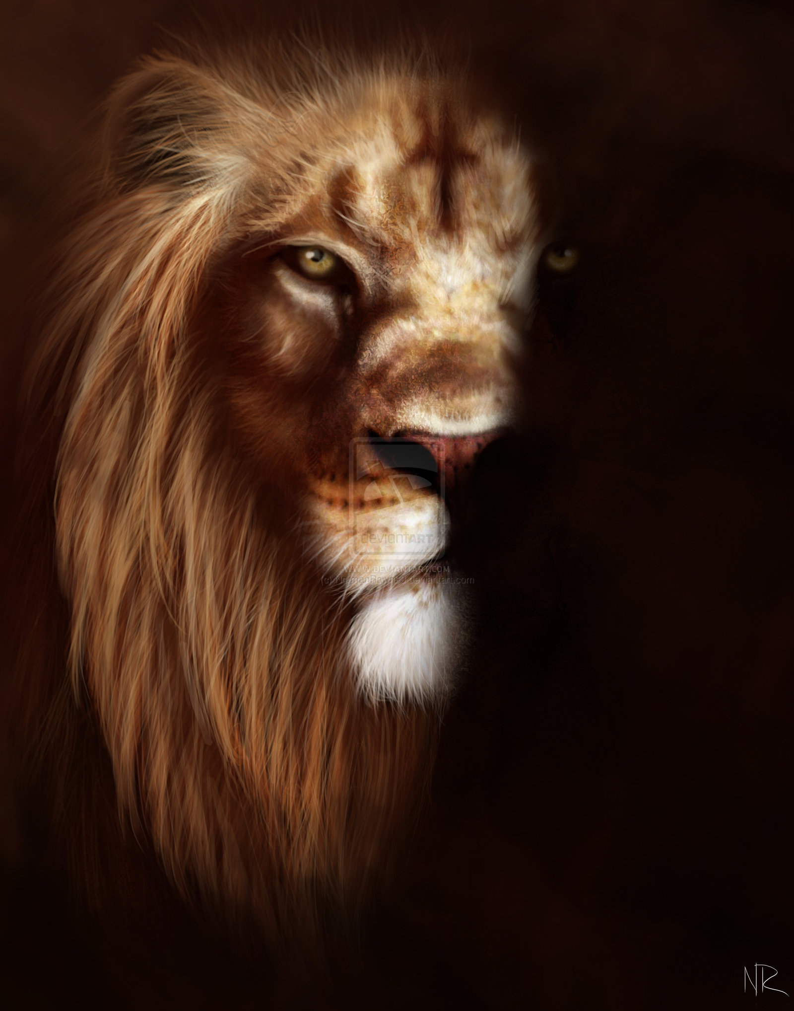 1600x2036 Lion Wallpaper Group - Lion Drawing Wallpaper