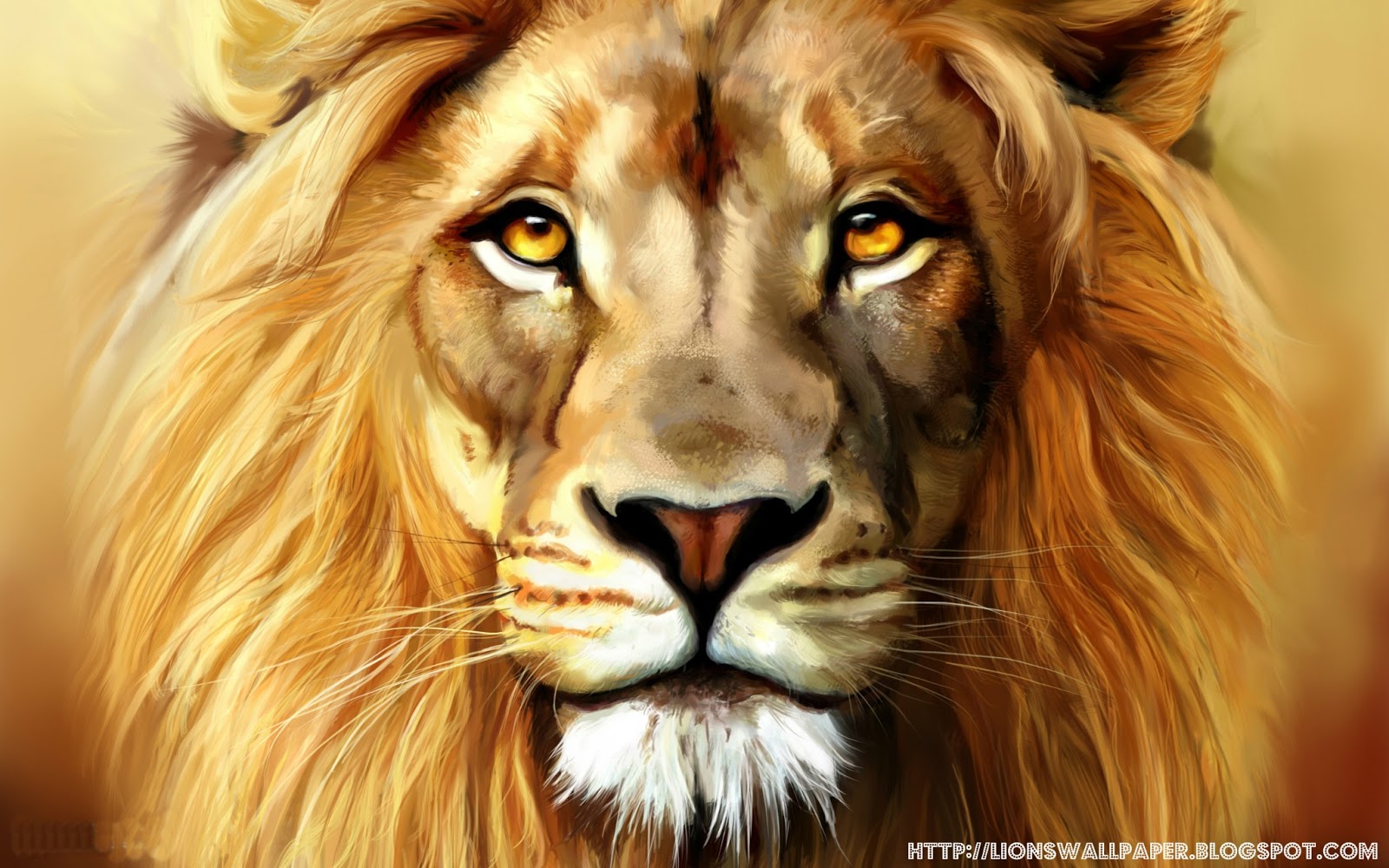 1600x1000 Lion Drawing - Lion Drawing Wallpaper