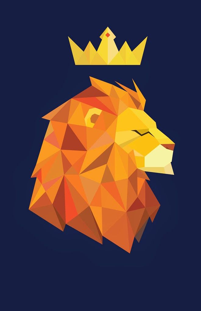 660x1020 nate xopher lion geometric lion, geometric lion tattoo, lion - Lion Drawing Wallpaper